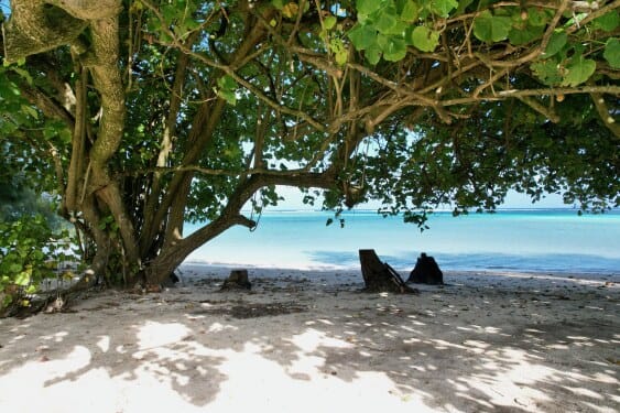 The beach at the end of the yard